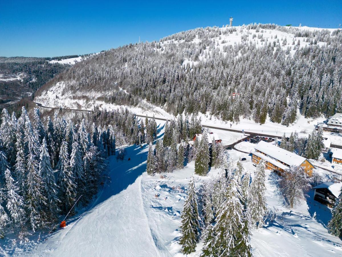 Wiesenquell Apartment Feldberg Feldberg  Exteriör bild